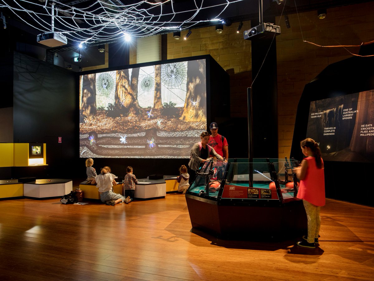 Visit San Antonio (@visitsanantonio) on Twitter photo Dive into must-see exhibits in SA ๐จโจ
๐ผ Amalia Mesa-Bains: Archaeology of Memory at <a href="/SAMAart/">San Antonio Museum of Art</a>
๐จ Dining with Rolando Briseรฑo at Centro de Artes | <a href="/getcreativesa/">Arts&Culture_COSA</a>
๐ท Spiders: From Fear to Fascination at <a href="/WitteMuseum/">Witte Museum ~ Nature, Science & Culture</a>
Explore more:
bit.ly/3NB848X
#VisitSanAntonio Dive into must-see exhibits in SA ๐จโจ
๐ผ Amalia Mesa-Bains: Archaeology of Memory at <a href="/SAMAart/">San Antonio Museum of Art</a>
๐จ Dining with Rolando Briseรฑo at Centro de Artes | <a href="/getcreativesa/">Arts&Culture_COSA</a>
๐ท Spiders: From Fear to Fascination at <a href="/WitteMuseum/">Witte Museum ~ Nature, Science & Culture</a>
Explore more:
bit.ly/3NB848X
#VisitSanAntonio