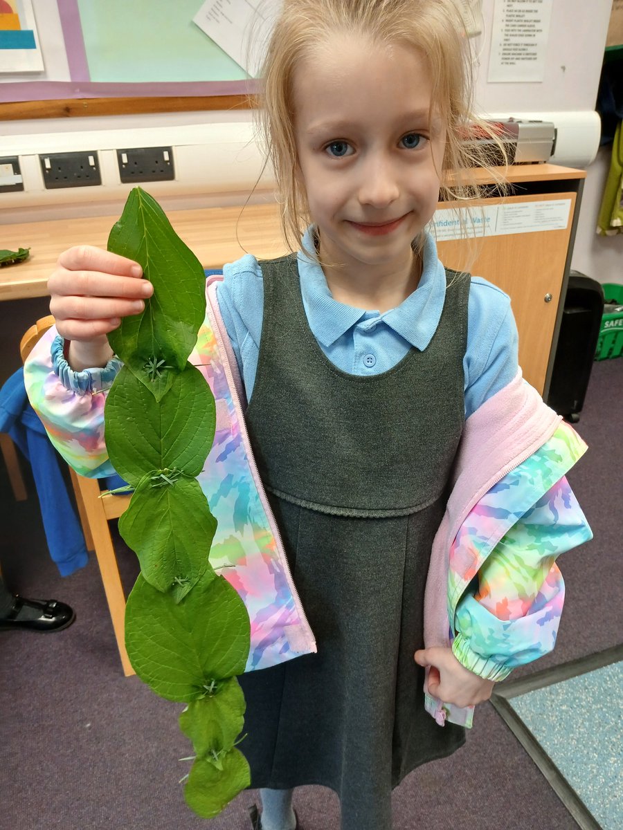 Leyburn School tweet media