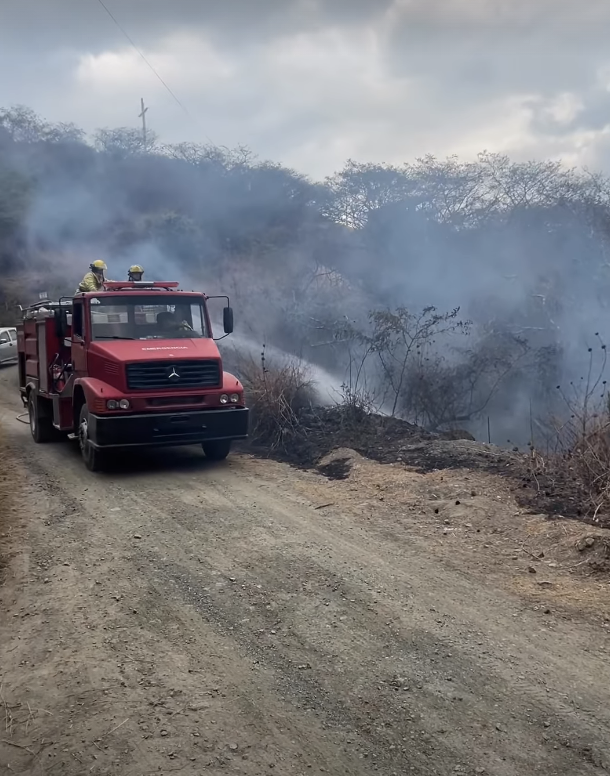 profepolitica's tweet photo. Yo sé que todos estamos con los ojos en #Quito, pero es 4to día de incendio en el Sur. Mollepamba se está incendiando y consumiendo gran parte de #Vilcabamba #Loja. ¡Por favor su ayuda y acción inmediata!
@fabriciovelav @eluniversocom @yali_loaiza @Primicias https://t.co/KrmlFiyRfC