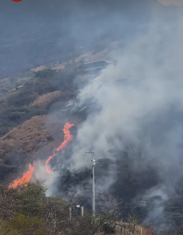 profepolitica's tweet photo. Yo sé que todos estamos con los ojos en #Quito, pero es 4to día de incendio en el Sur. Mollepamba se está incendiando y consumiendo gran parte de #Vilcabamba #Loja. ¡Por favor su ayuda y acción inmediata!
@fabriciovelav @eluniversocom @yali_loaiza @Primicias https://t.co/KrmlFiyRfC