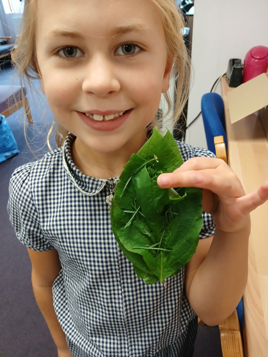 Leyburn School tweet media
