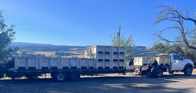 Harvest Season Has Arrived... - mailchi.mp/290e9db3d50d/s…