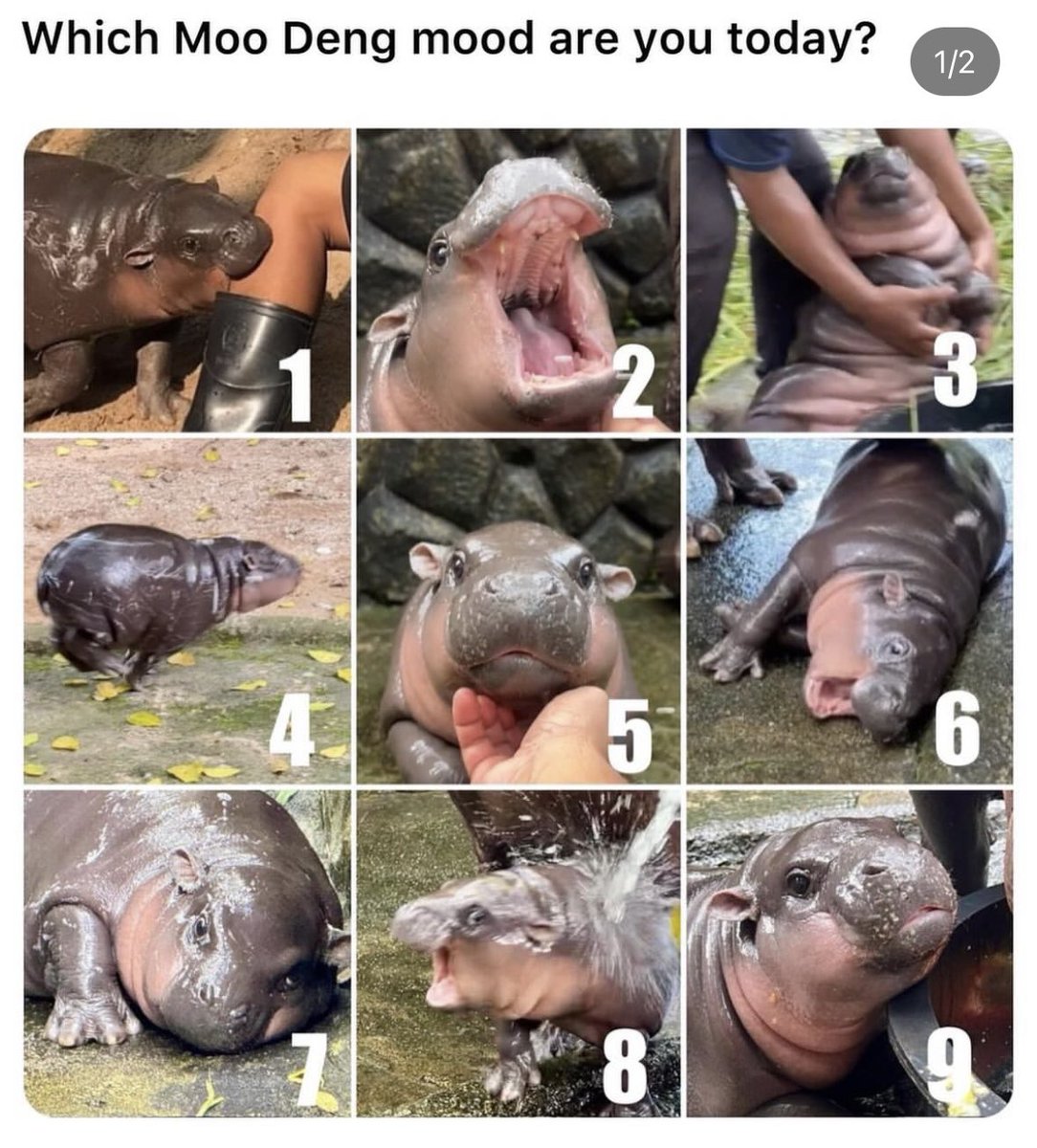 Thoughts on me implementing this feelings chart for my therapy patients?

#MedTwitter #DoubleDocs #Psychiatry