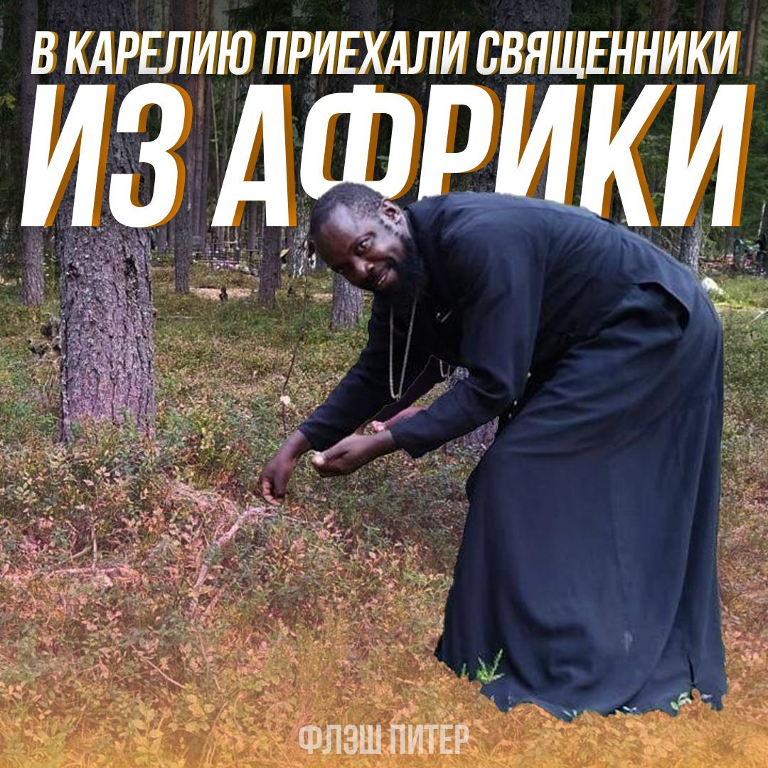 Flash Питер | Новости tweet media