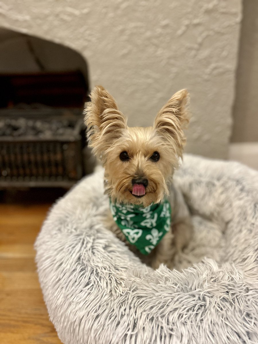 Faut pas avoir peur d’afficher notre langue en ce 25 septembre! 😋 Bonne journée des Franco-Ontariens et Franco-Ontariennes! 💚🤍