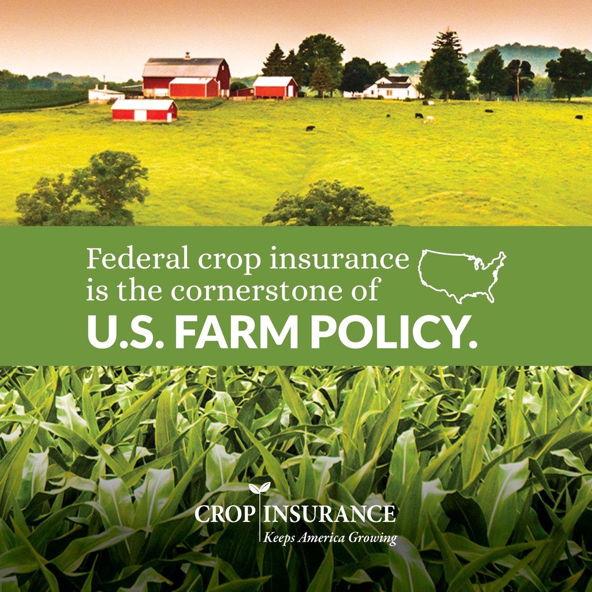 UScropinsurance's tweet photo. Did you know the Federal #cropinsurance program has been improved to offer timely financial assistance to farmers when they need it most, all while minimizing taxpayer risk? Crop insurance is vital to farmers and ranchers, who are essential to America. https://t.co/bzz74rHXQe https://t.co/YMgMYGTWwU