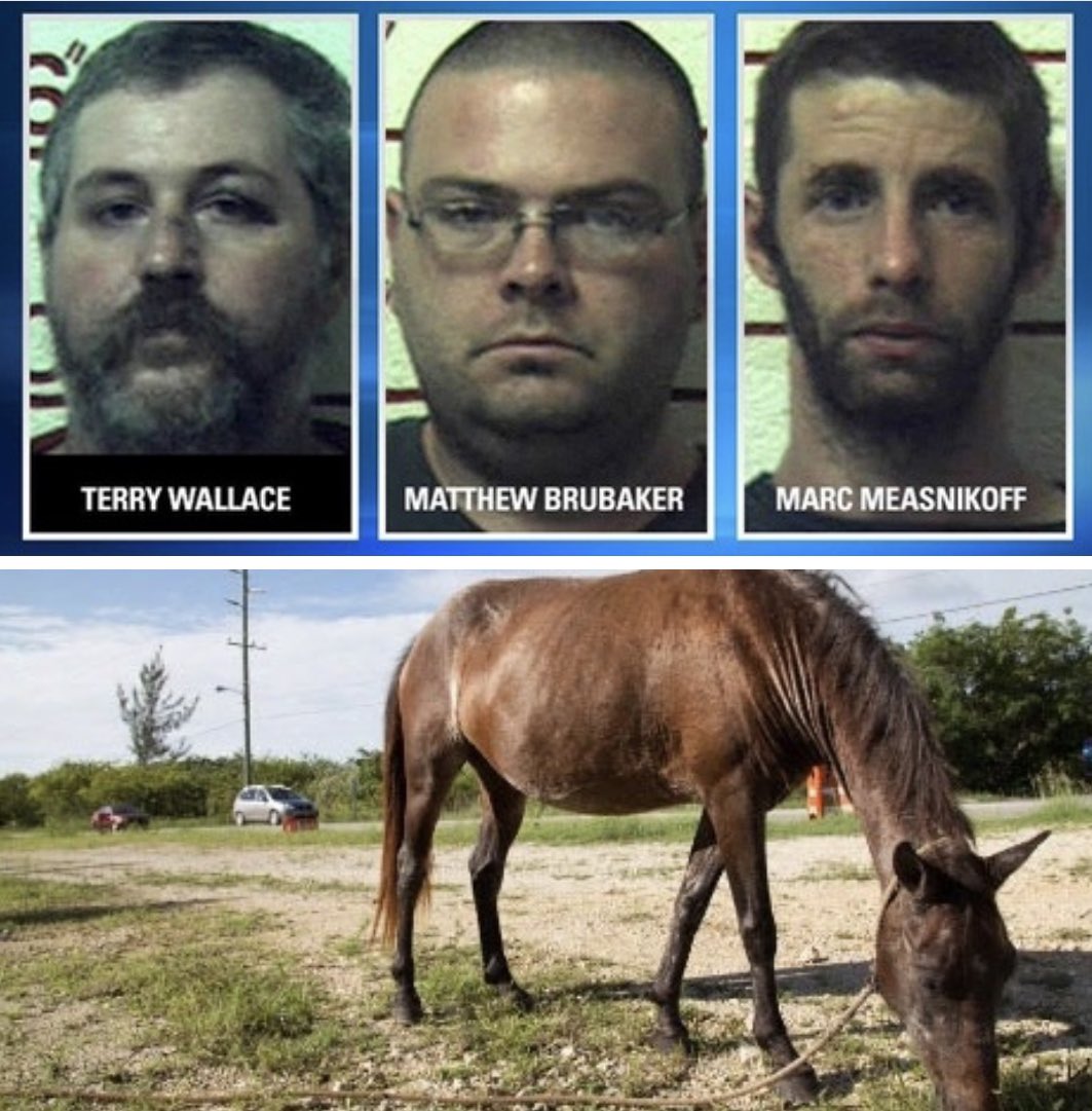 MorbidKnowledge's tweet photo. In 2018, Terry Wallace, Matthew Brubaker, and Marc Measnikoff were arrested on 1,460 counts of se*ually abusing goats, horses, cows, and dogs, and filming the acts. 

The arrests came after a 16-year-old boy living on the property reported them to the police. 

Brubaker admitted to the abuse, while Measnikoff confessed to assaulting horses but denied involvement with dogs. 

Each man faced 730 counts of se*ual abuse of animals, 730 counts of animal cruelty, and a charge of child endangerment. 

They were sentenced to 20 to 41 years in prison, despite defense claims that the sentences were excessive due to their lack of prior criminal records.