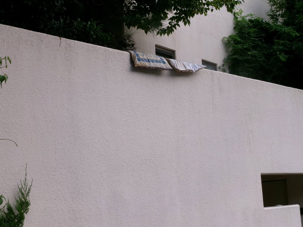 Paru__Design's tweet image. S5見てたら1日終わってた