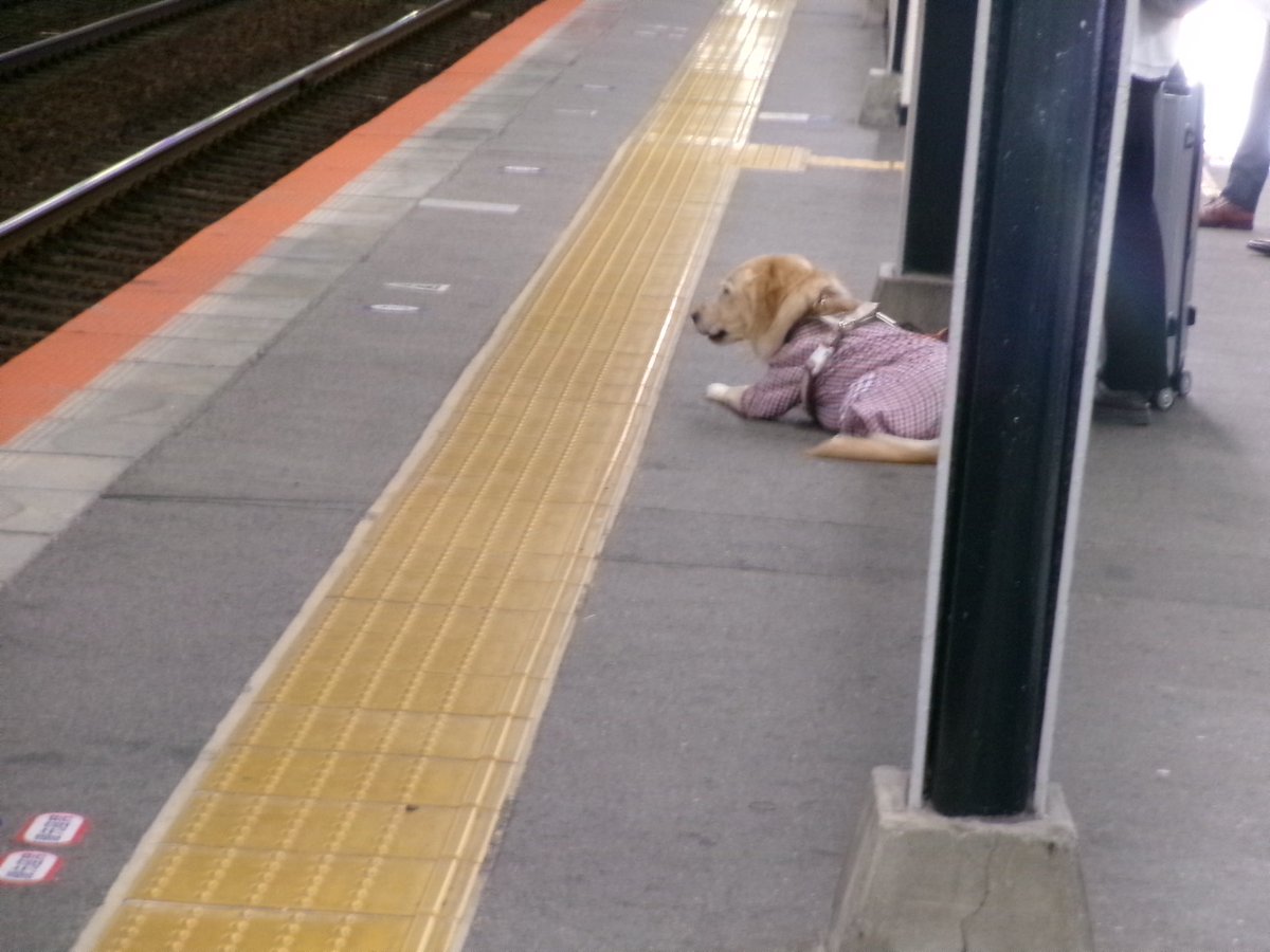 Paru__Design's tweet image. S5見てたら1日終わってた