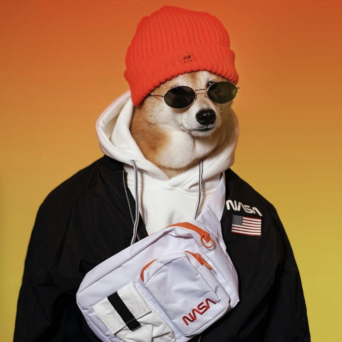 DaCryptoGeneral's tweet image. $BODHI just launched on ETH | @DOGBODHICOIN 

Good narrative and chad team. Under a milli mcap now ~ should do good numbers .

"As one of the most influential Shiba Inus on the internet, Bodhi has captured the hearts of fans worldwide with his stylish outfits and unique charm. 🌟