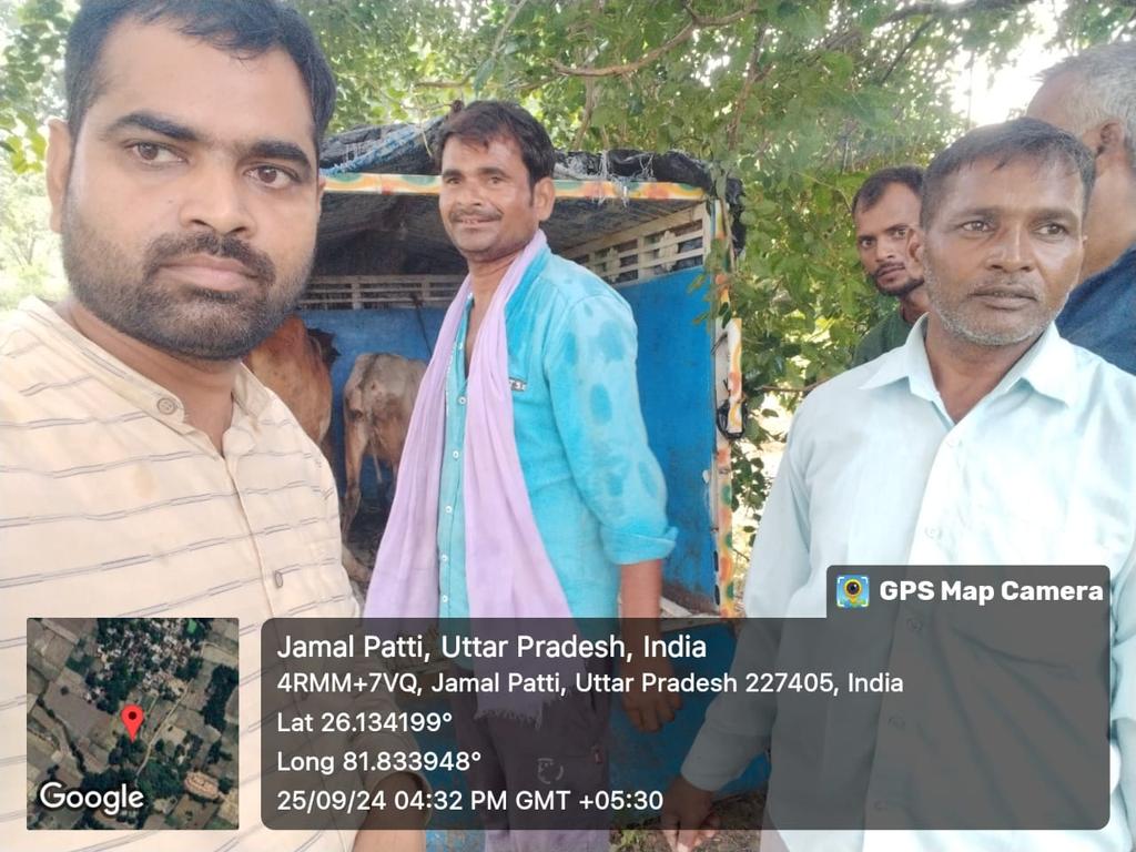 VinayVe64331273's tweet photo. @sarvutkarsh @DmAmethi @cdoamethi @CmHelpline @CMOfficeUP @myogiadityanath @Uppolice @yadavakhilesh @UPGovt ग्राम पंचायत सचिव सफाई कर्मचारी एवं पशुपालन विभाग की टीम द्वारा आज दिनांक 25 9.2024 को ग्राम पंचायत डेड पसार में घूम रहे पांच निराश्रित गोवंश को पड़वा कर नैनहा वरतली गौशाला में संरक्षित कर दिया गया है https://t.co/s6AgD0sWvI