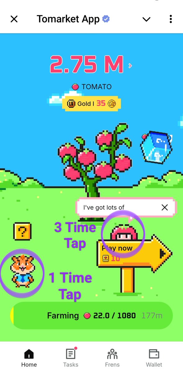 CMN7737's tweet photo. Tomarket Secret Tap Daily Combo
To Get An Extra 2500 Coin Reward 
👇25-09-2024👇

Hamster 🐹 Head - 1 Time Tap
Tomato 🍅 Head- 3 Time Tap

Join Tap To Earn 👉 Tomarket 🍅
https://t.co/0EFCWhwtkb…

#Tomarket #Secrettap #Dailycombo #tomatotoken #Cryptomasternepali https://t.co/3XhkWXWEKm