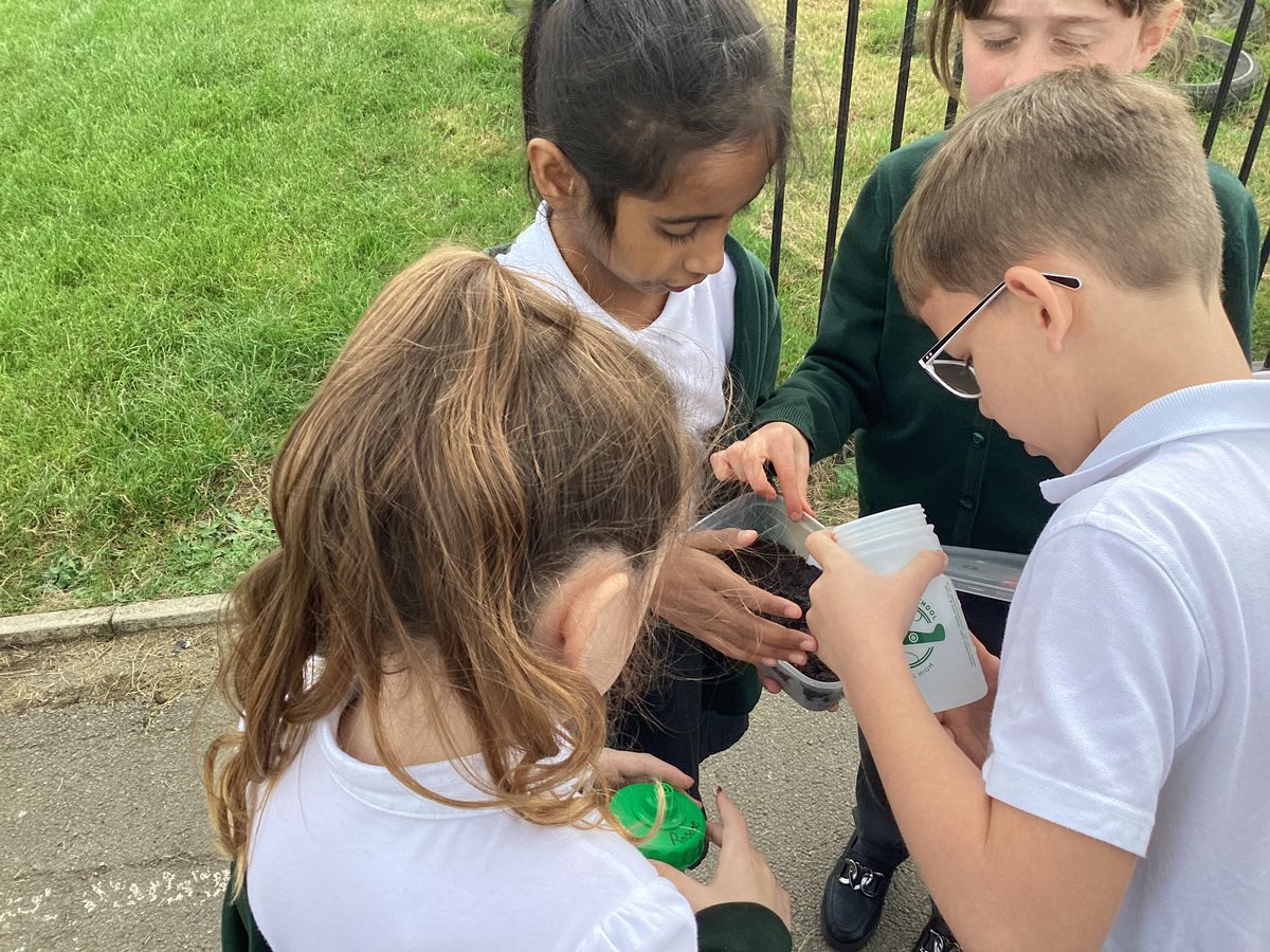 BaderPrimary's tweet photo. Y3R have been setting up an investigation this afternoon to investigate what a plant needs to grow. We created an enquiry question and chose the variables that we wanted to change. #RRSarticle28 https://t.co/DMunEXzx4g