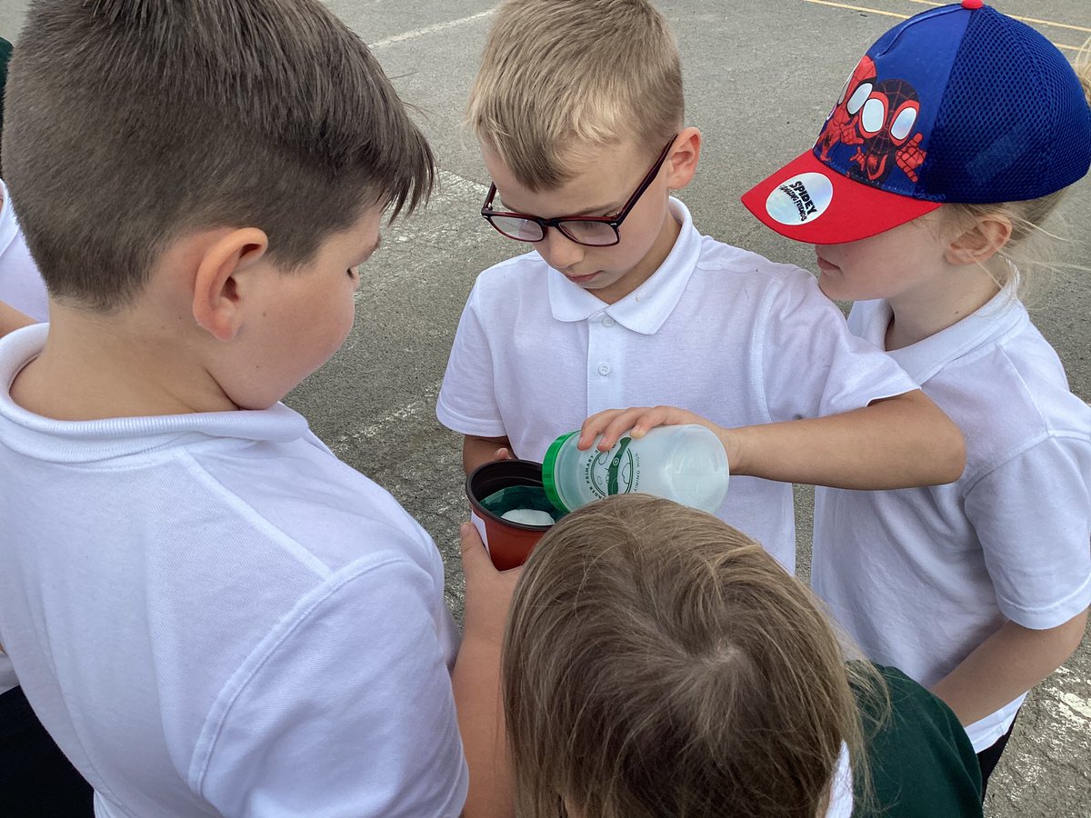 BaderPrimary's tweet photo. Y3R have been setting up an investigation this afternoon to investigate what a plant needs to grow. We created an enquiry question and chose the variables that we wanted to change. #RRSarticle28 https://t.co/DMunEXzx4g