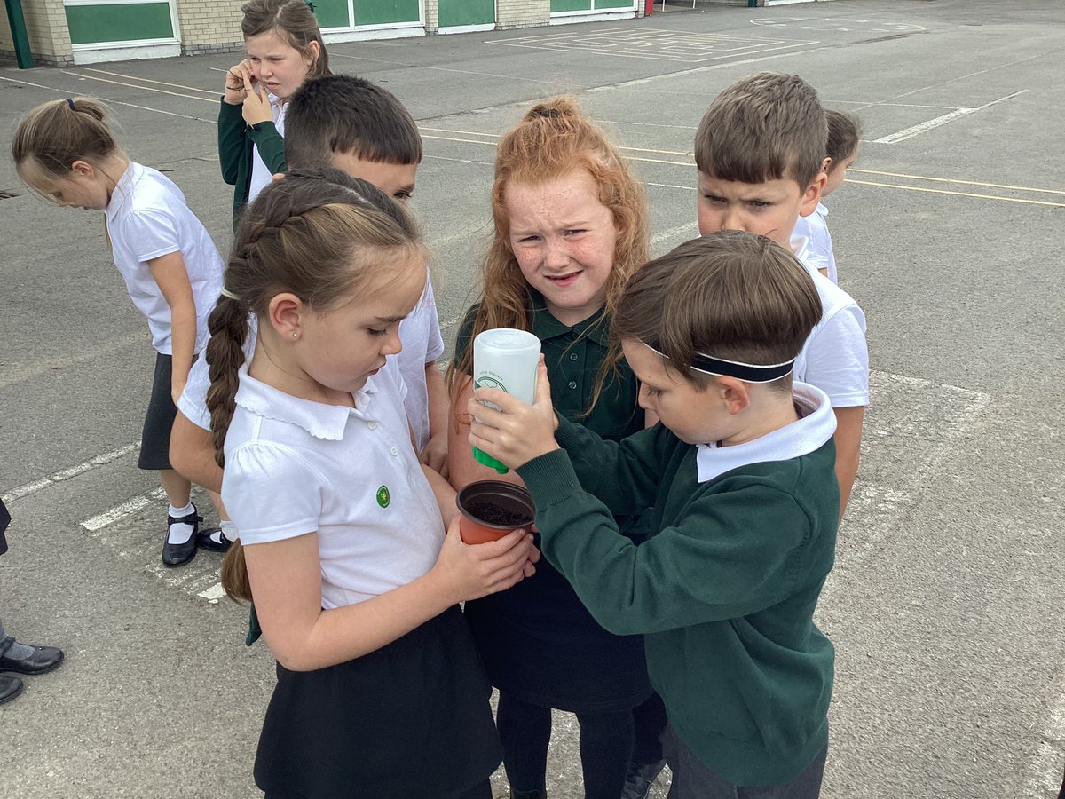 BaderPrimary's tweet photo. Y3R have been setting up an investigation this afternoon to investigate what a plant needs to grow. We created an enquiry question and chose the variables that we wanted to change. #RRSarticle28 https://t.co/DMunEXzx4g