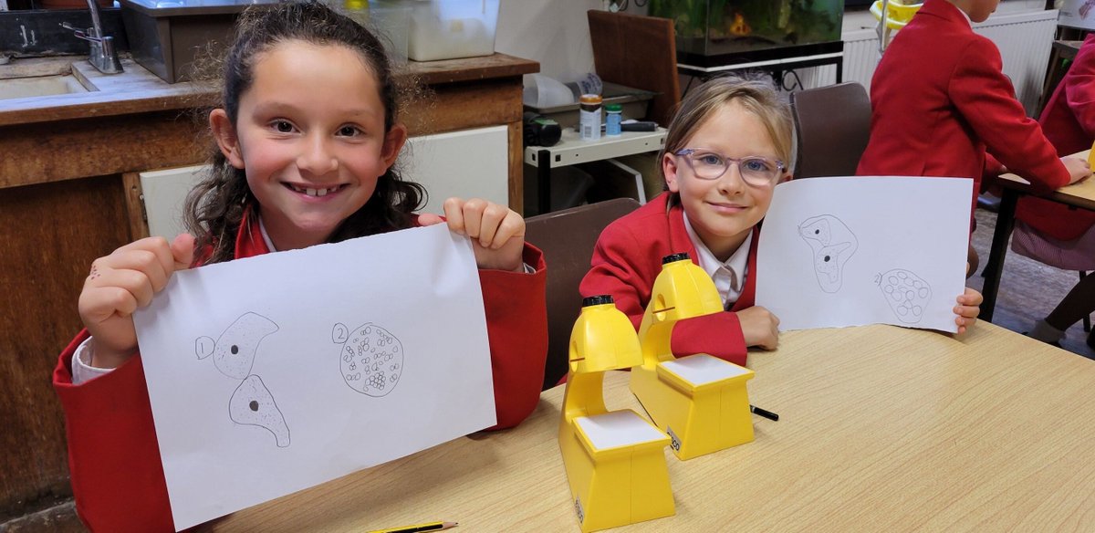 sjcrmain's tweet image. Impressive concentration at our Prep STEM Club last night! Look at these amazing white blood cell drawings under the microscope! 🧬✨ 

#STEMKids #FutureScientists #MicroscopyMagic #LearningThroughPlay
