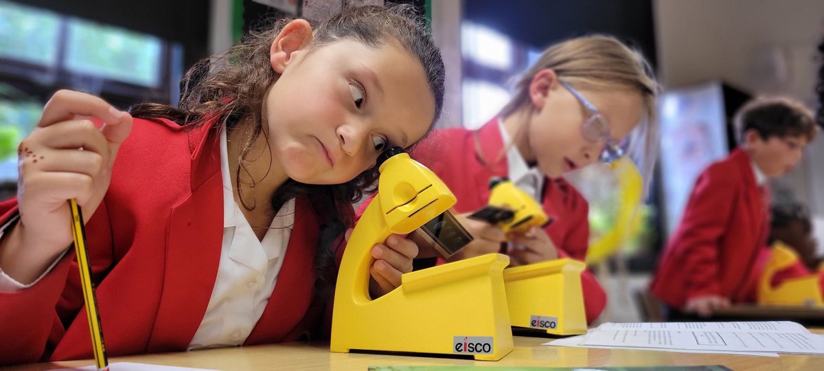 sjcrmain's tweet image. Impressive concentration at our Prep STEM Club last night! Look at these amazing white blood cell drawings under the microscope! 🧬✨ 

#STEMKids #FutureScientists #MicroscopyMagic #LearningThroughPlay