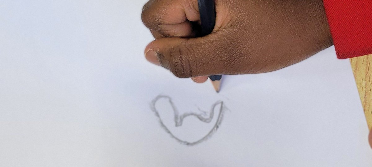 sjcrmain's tweet image. Impressive concentration at our Prep STEM Club last night! Look at these amazing white blood cell drawings under the microscope! 🧬✨ 

#STEMKids #FutureScientists #MicroscopyMagic #LearningThroughPlay