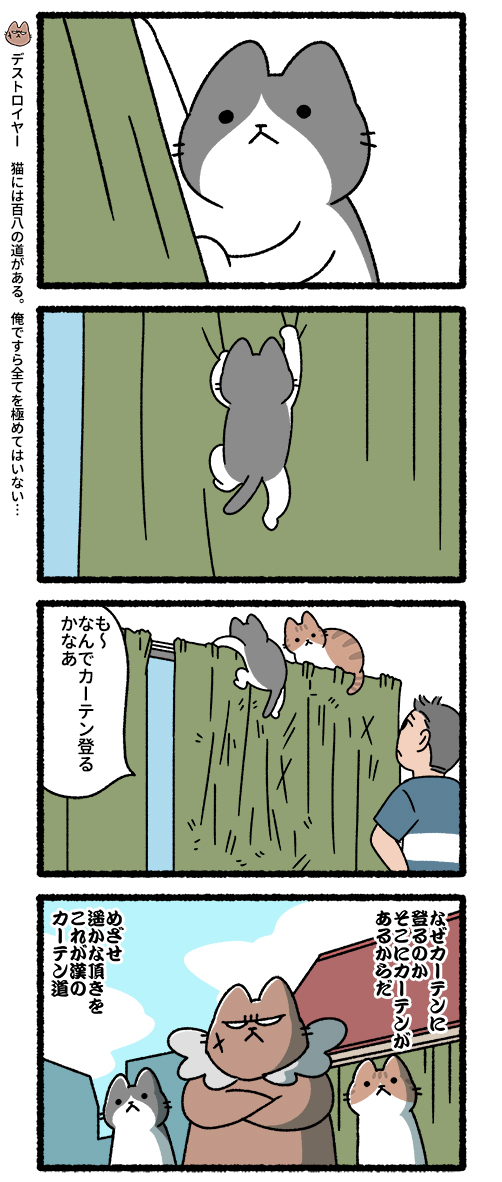 悪の秘密結社ネコ いざ猫武道編
#悪の秘密結社ネコ 
