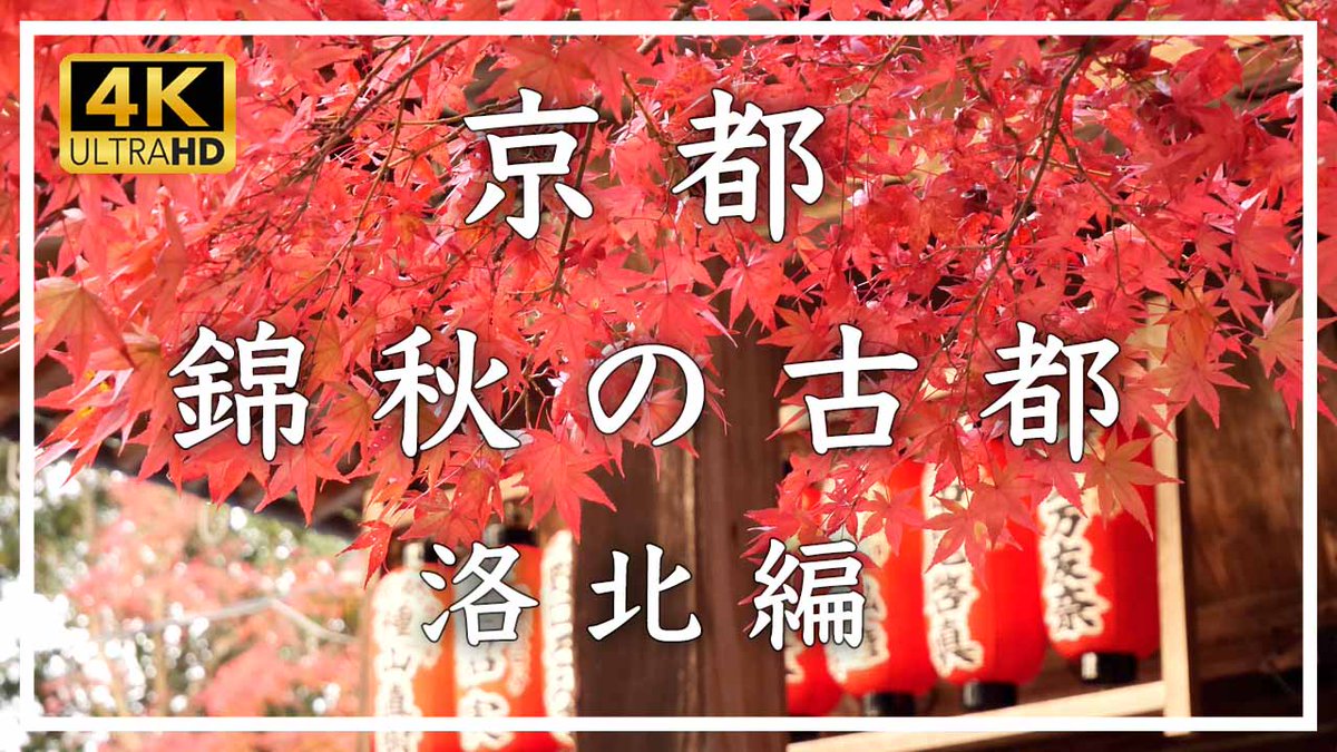 ようやく、朝夕が涼しくなってきました。もうすぐ、紅葉の季節ですね。
お時間あれば、ご覧ください。京都の紅葉です🍁
youtu.be/dUXLmvHavDw
