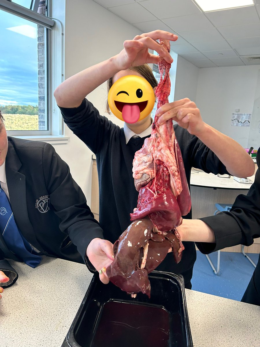 missmurphybio's tweet photo. Had a great night at our p7 open evening and couldn’t have done it without our fabulous BGE helpers! 🥼🧬🫀 @BoclairBiology https://t.co/V3JBOW48y3
