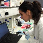 Photo by Centre for Drugs and Diagnostics (CDD) (@CDD_LSTM)