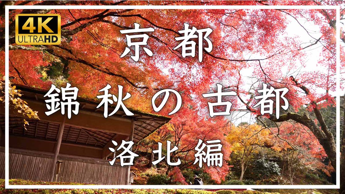 ようやく、朝夕が涼しくなってきました。もうすぐ、紅葉の季節ですね。
お時間あれば、ご覧ください。京都の紅葉です🍁
youtu.be/dUXLmvHavDw