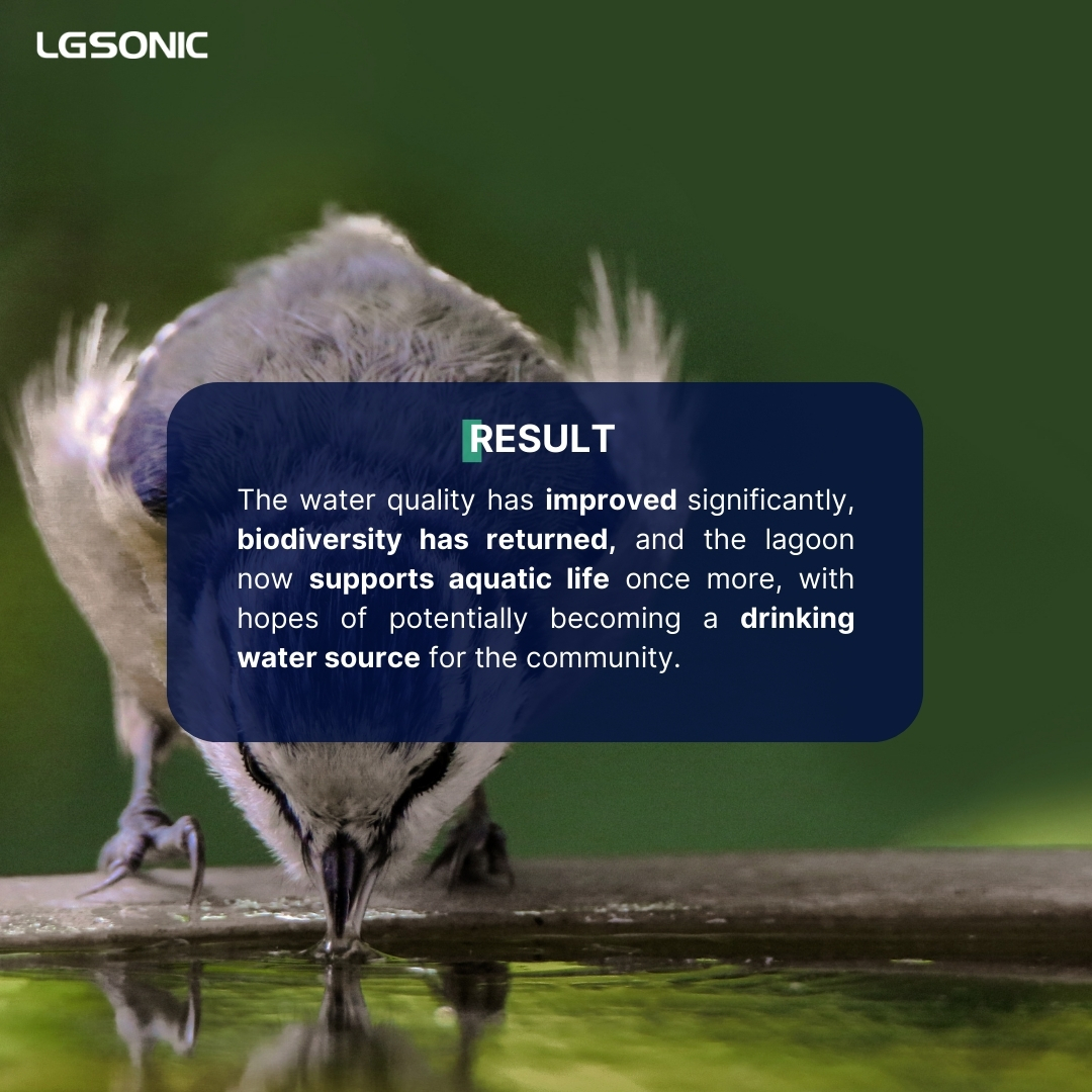 The Municipality of Managua stepped in to control eutrophication at Tiscapa Lagoon. 

Since its installation, the lagoon has shown signs of rejuvenation with improved water quality and increased visibility of fish and turtles.

#Lagoon #Managua #Biodiversity #Algaecontrol