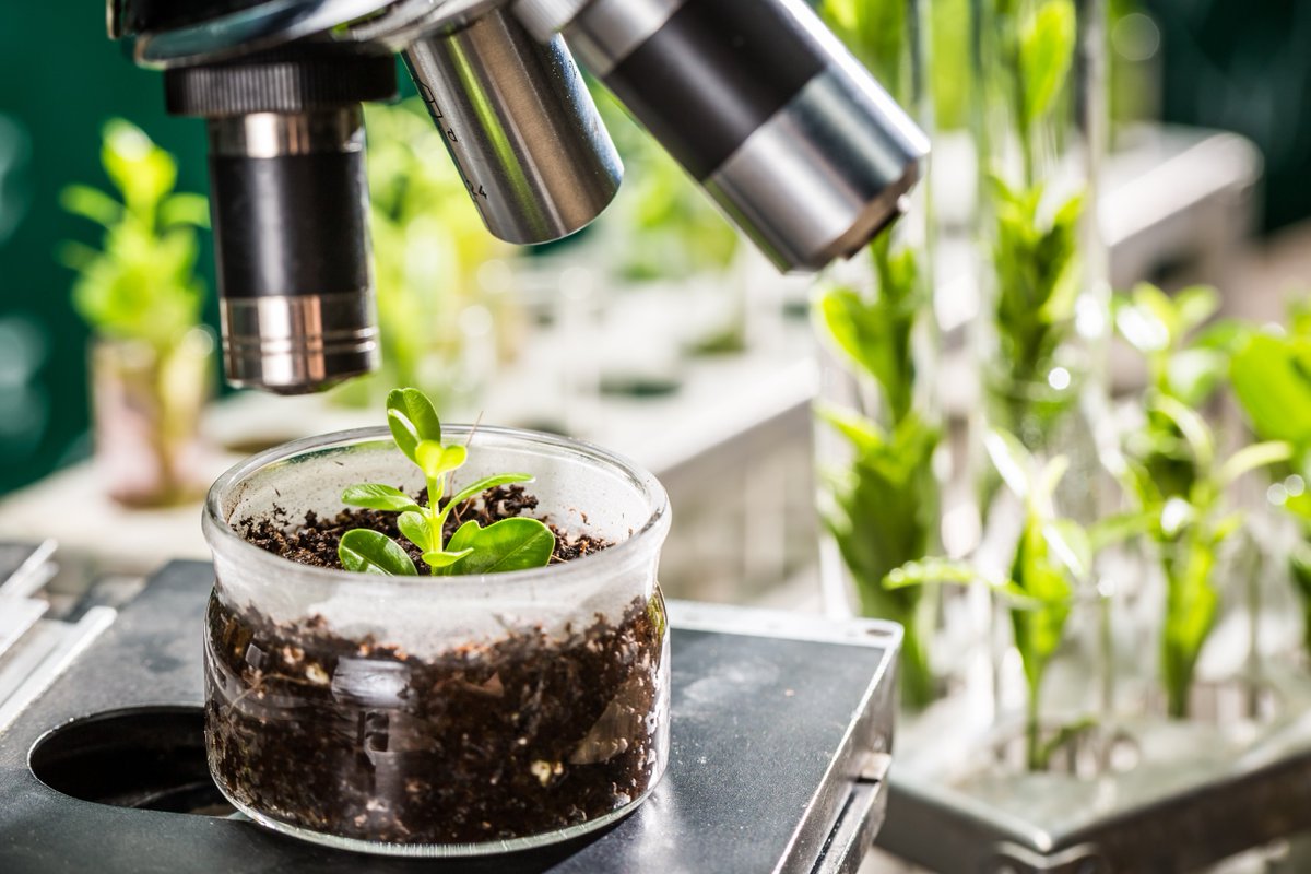 virtigation's tweet photo. New #VIRTIGATION guidance material available for incoming #PlantScientists. Our partners @BangaloreUas & @NRInstitute have developed a hands-on training manual on novel #PlantPathogen #detection methods: https://t.co/PblDpV1Zqt #H2020 #EUFunded #PlantHealth #PlantSci #MultiActor https://t.co/HVSog3aUMA
