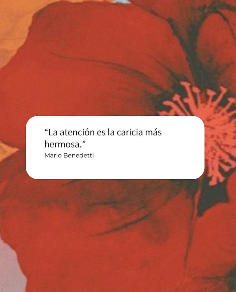 🌙 mini textos (@soyminitextos) on Twitter photo 