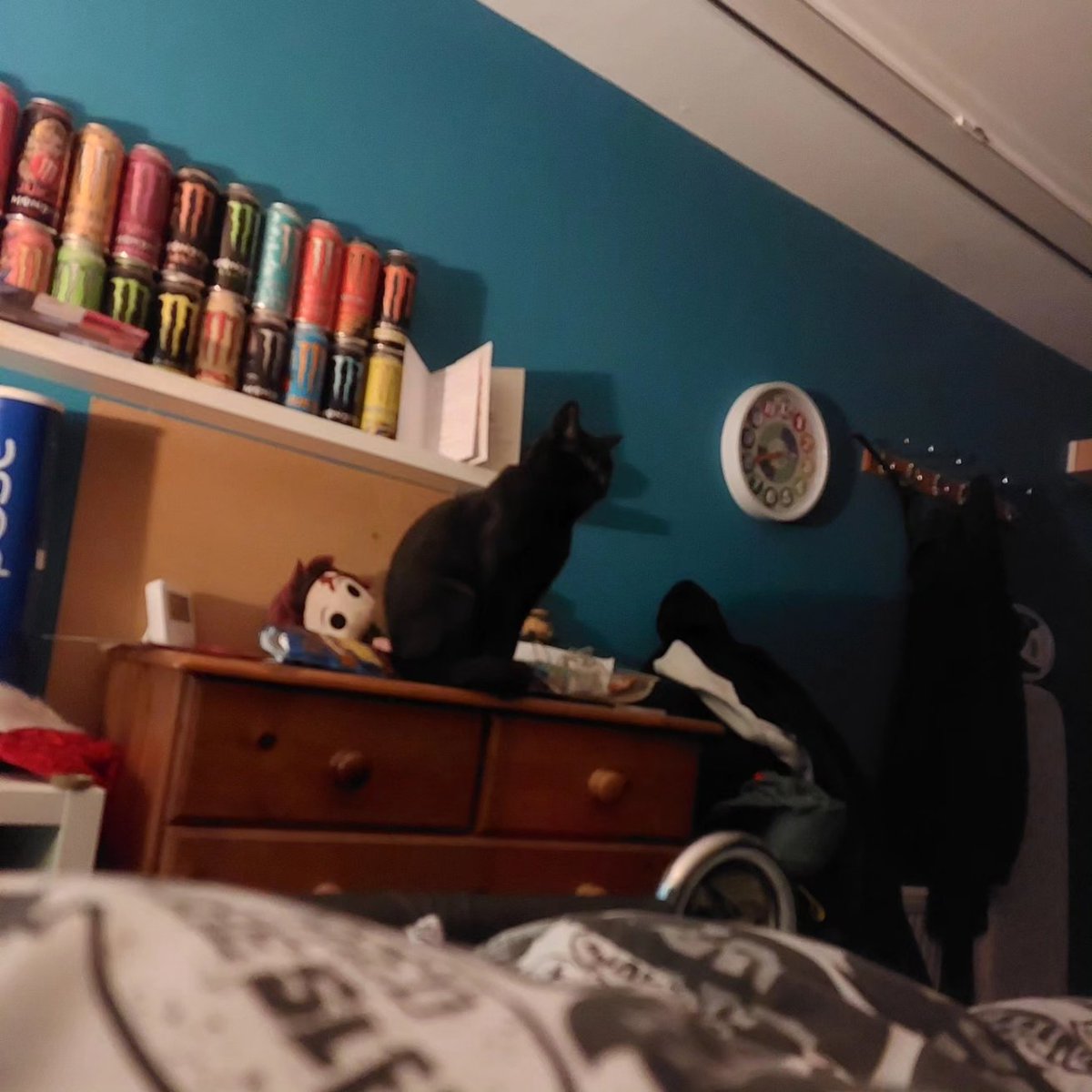 Looking for femboy boyfriend. Hit me up