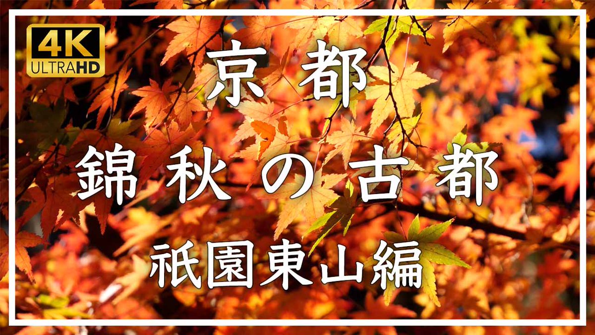 ようやく、朝夕が涼しくなってきました。もうすぐ、紅葉の季節ですね。お時間あれば、ご覧ください。京都の紅葉です🍁
youtu.be/EmVxt0Zousw