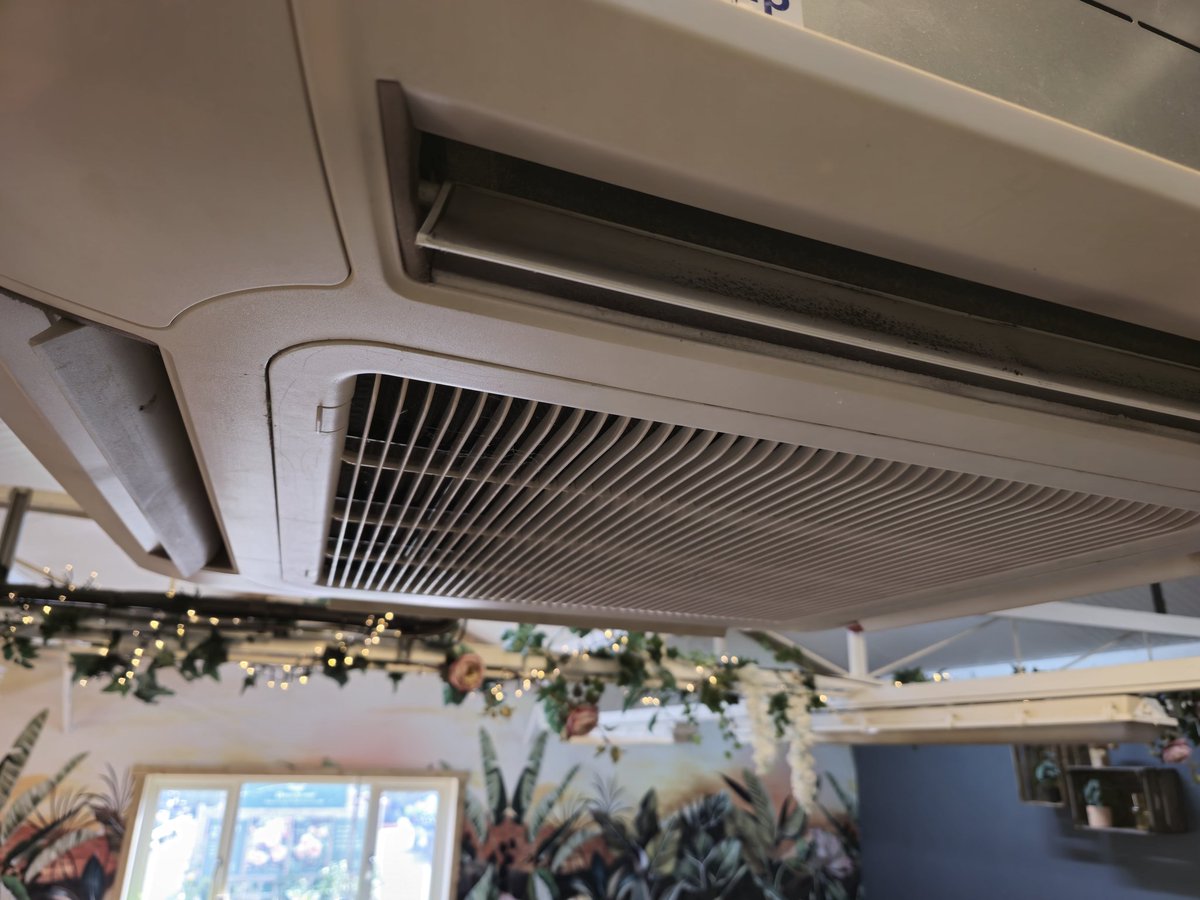 Dr Boilers 🐰 tweet media