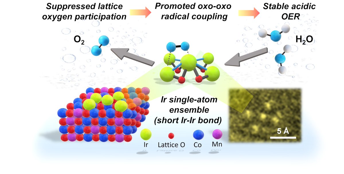 I am pleased to share our latest research article on single atom electrocatalysts for water electrolysis published in Advanced Materials. A great work by <a href="/Ashwani_Kumar_2/">Ashwani_Kumar ⬅️ Ph.D.</a> with the contribution of our collaborators, @SECLab_MPI_CEC. <a href="/ImdeaMaterials/">IMDEA Materials</a> 
onlinelibrary.wiley.com/doi/full/10.10…