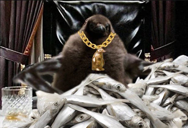 Blunt.wif 🚬🎩 tweet media