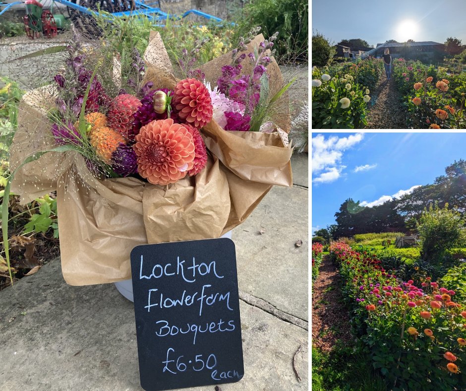 💐Beautiful Blooms!💐

It's the Bramble Berry Market this weekend in Pickering, so what could be better than treating yourself or a loved one to a bunch of these gorgeous local flowers from the museum shop? 
@locktonflowerfarm #beckislemuseum