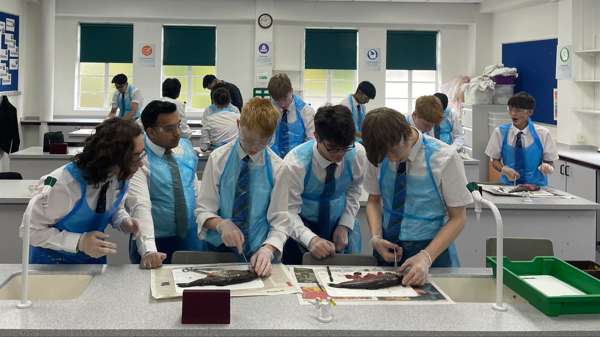 St Albans School tweet media