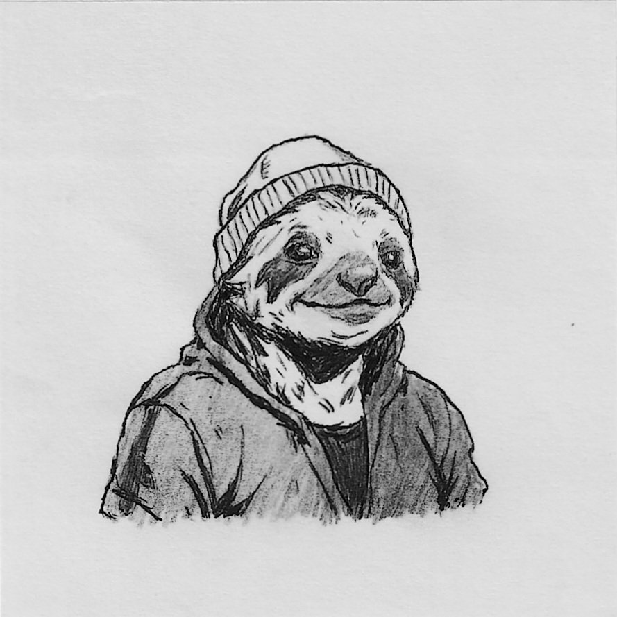 Roy 🗯️ tweet media