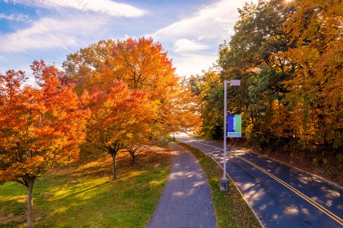 We're officially falling for these views. 😍 Happy Fall. Colts! 🍁