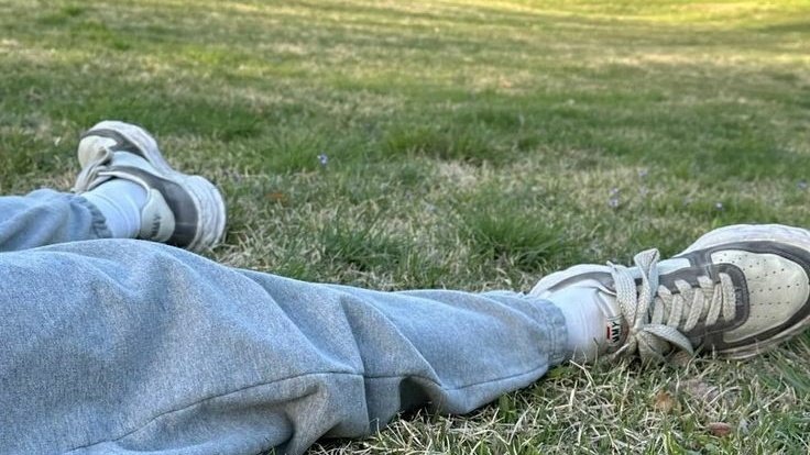 🍃