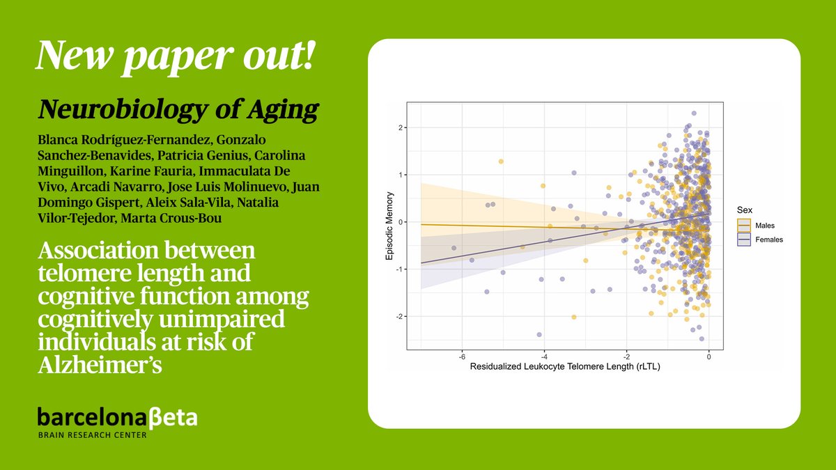 🗞️ A new study led by the BBRC reveals a non-linear link between telomere length and cognitive performance.

📢 The results indicate sex-specific associations, with shorter telomeres being associated with worse memory retrieval among women.