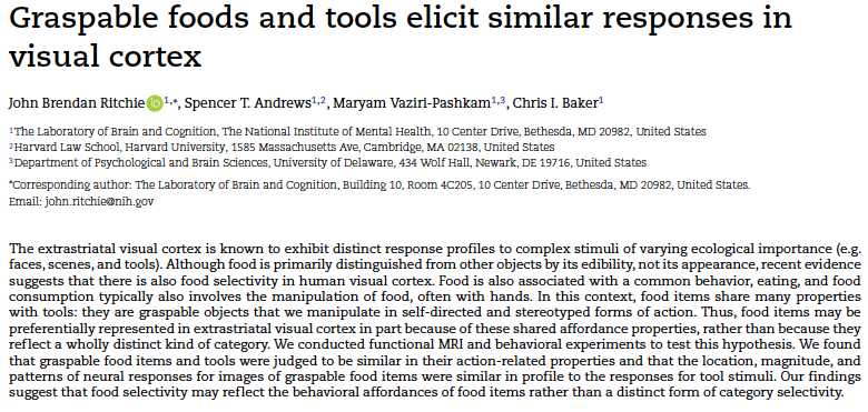 J Brendan Ritchie (@jbrendanritchie) on Twitter photo My paper with <a href="/SpencerAnd74/">Spencer Andrews</a> <a href="/mvazirip/">Maryam Vaziri-Pashkam</a> and <a href="/Chris_I_Baker/">Chris Baker</a> is out in Cerebral Cortex! TL;DR food-selectivity is not a (new) form of "category-selectivity". Rather, food images recruit neural regions associated with action planning and understanding.
academic.oup.com/cercor/article… My paper with <a href="/SpencerAnd74/">Spencer Andrews</a> <a href="/mvazirip/">Maryam Vaziri-Pashkam</a> and <a href="/Chris_I_Baker/">Chris Baker</a> is out in Cerebral Cortex! TL;DR food-selectivity is not a (new) form of "category-selectivity". Rather, food images recruit neural regions associated with action planning and understanding.
academic.oup.com/cercor/article…