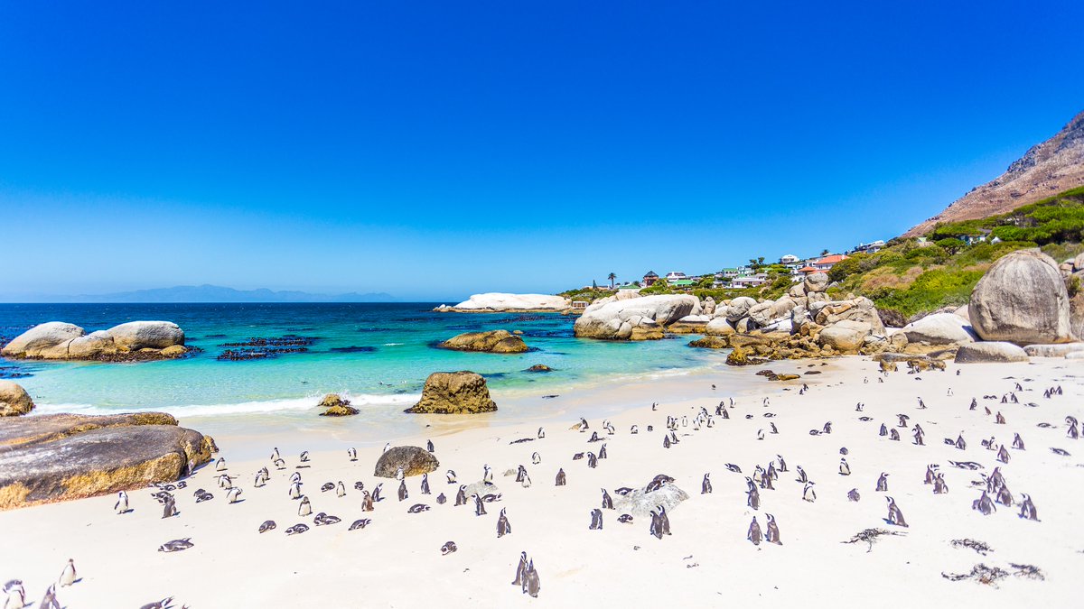 Mega-Preis! 🤩💰 Direktflug Frankfurt - Johannesburg oder Kapstadt und zurück mit Condor schon ab 442 Euro: flug.idealo.de/flugroute/Fran… ✈️🌍

#Frankfurt #Condor #Kapstadt #Johannesburg #Fernweh #Südafrika #Billig #Reisenmachtglücklich #Urlaub #Angebot #Schnäppchen #Deals  #Fernweh