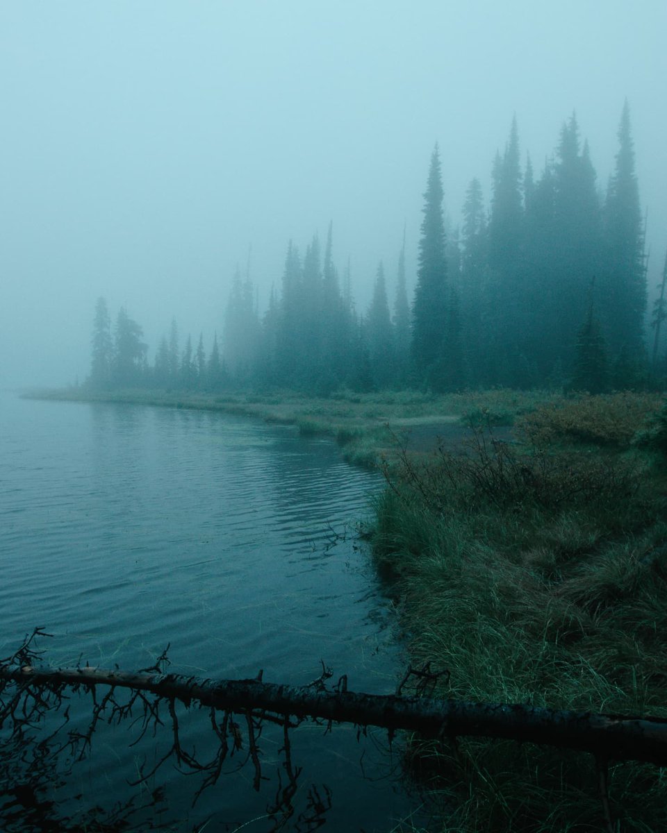 NallsXD's tweet photo. Foggy Rainer https://t.co/i0uuZIjqNh