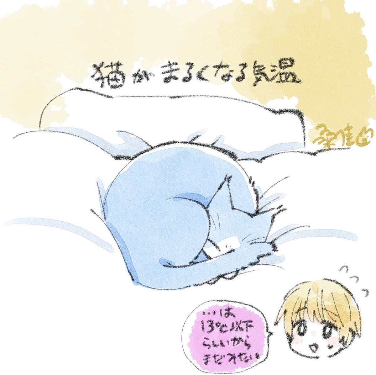 涼しい 