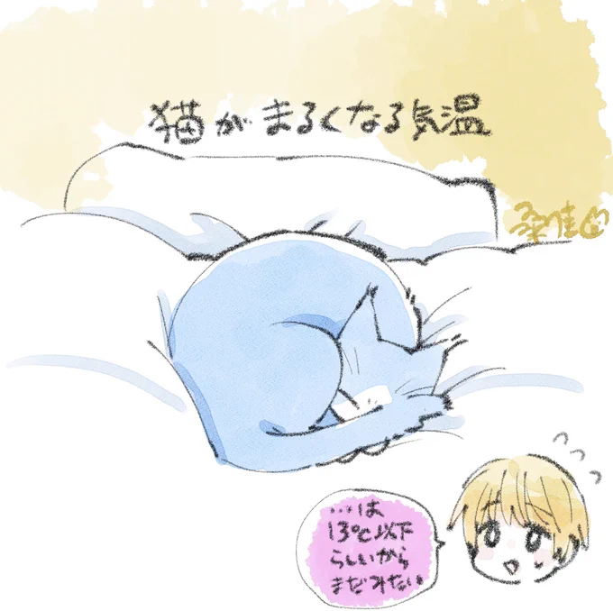 涼しい 