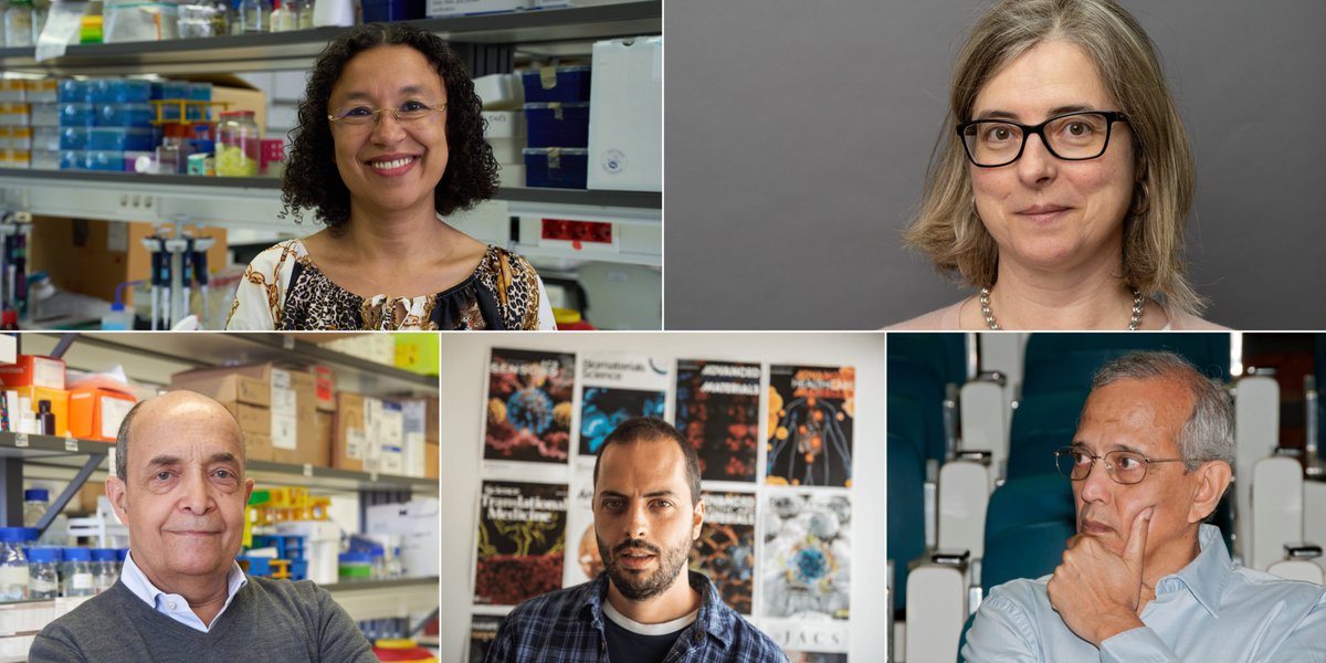 NOVA Medical School, Faculdade de Ciências Médicas tweet media