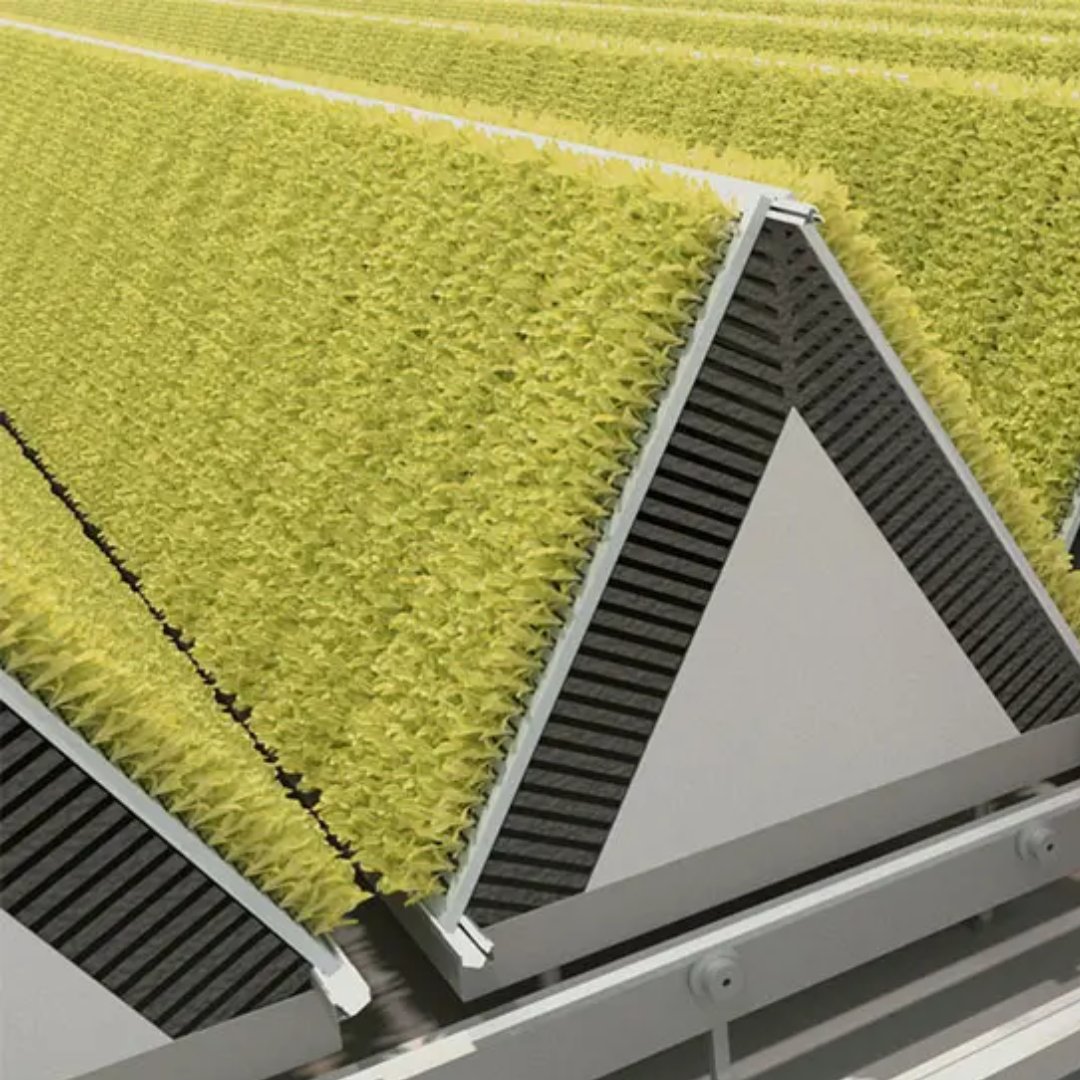 AGRITECTURE tweet media