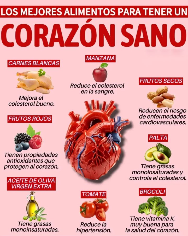 BienestarYM's tweet photo. ✨💫🌿☀️Tip Saludable☀️🌿💫✨

🤩♥️Corazón sano♥️🤩

*Regálame un Hola si me lees* https://t.co/0aLoyp7u0f