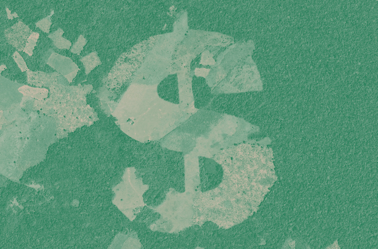 twitt_odg's tweet image. 💰🔥🌿 La  deuda pública externa promueve la deforestación en el #Amazonas y facilita la aparición de grandes fuegos forestales, impulsando el cambio climático. #AmazonOnFire

📰Informe en colaboración con @DebtforClimate: odg.cat/es/publicacion…